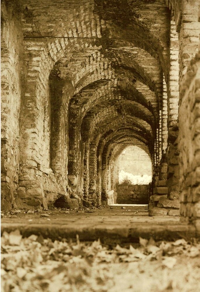 Por los Caminos de Dios