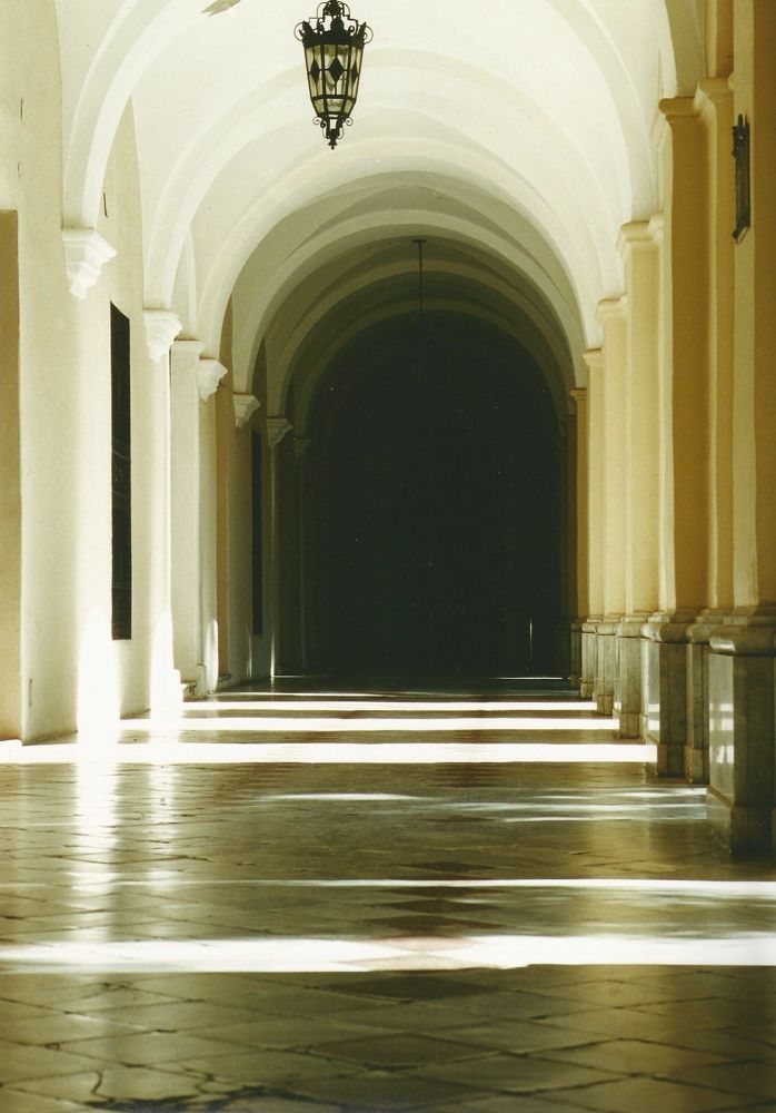 Photograph by Patricia Delionardis