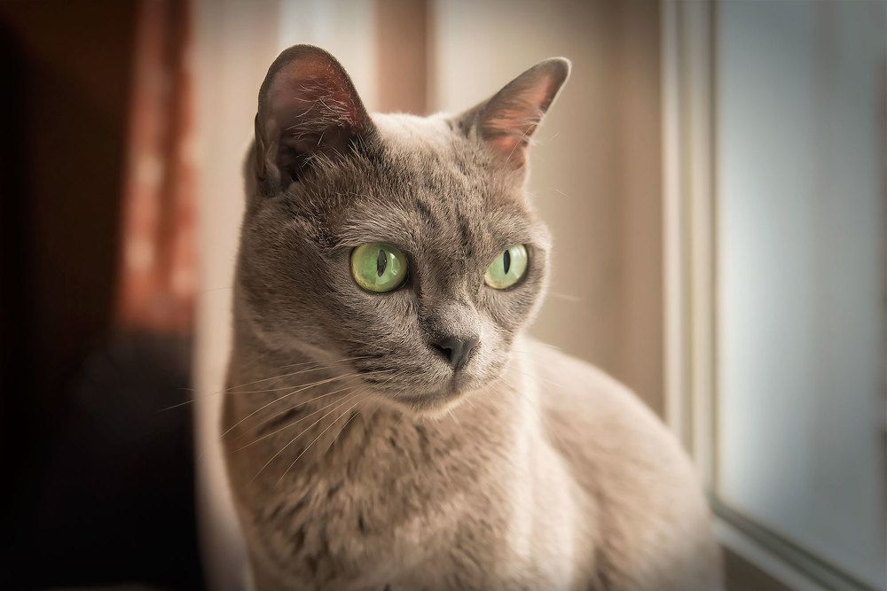 Photograph by Анна Цыплакова