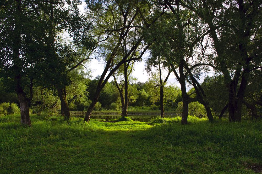 Photograph by Наталия Мамонова