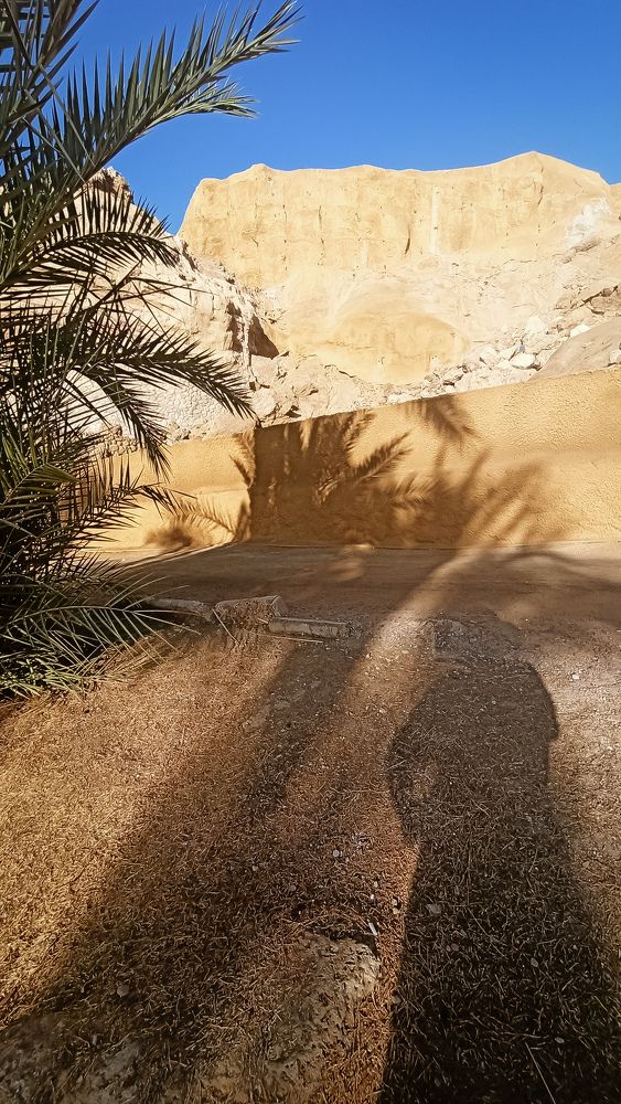 Photograph by Aнна Никульникова