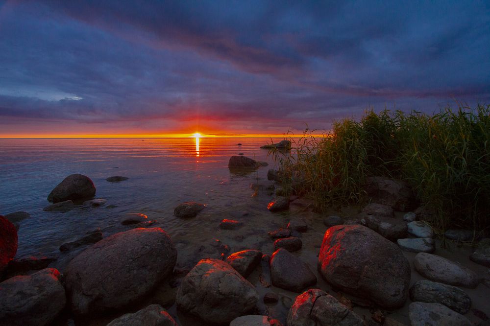 Фотография автора Ксения Зайцева