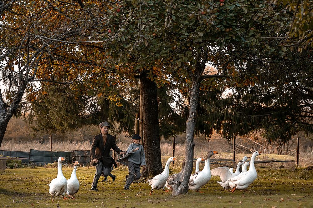 Хорошо в деревне летом