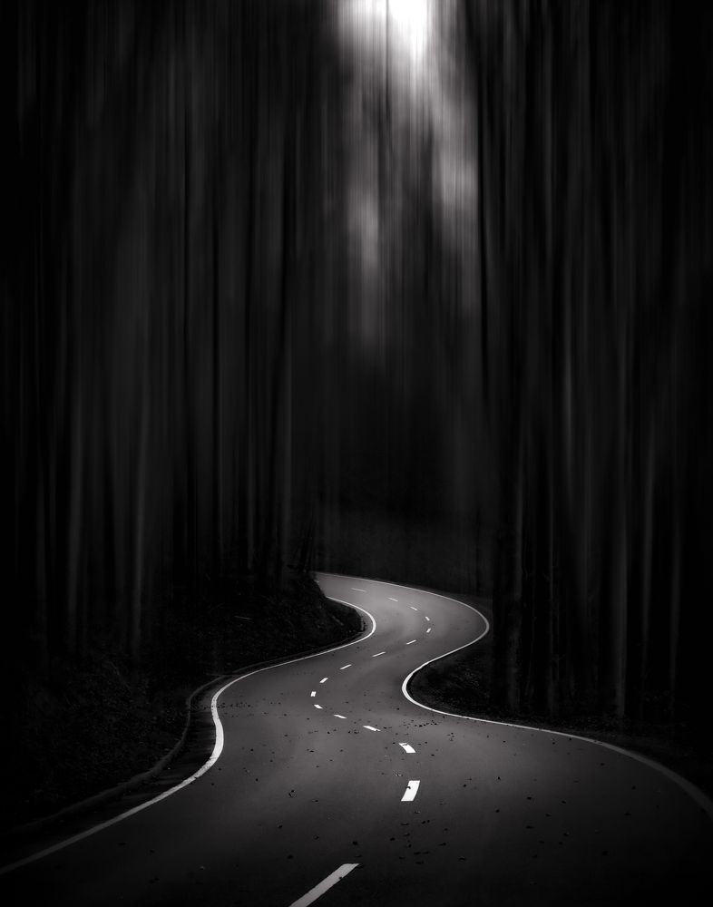 Photograph by Sebastian Bauer