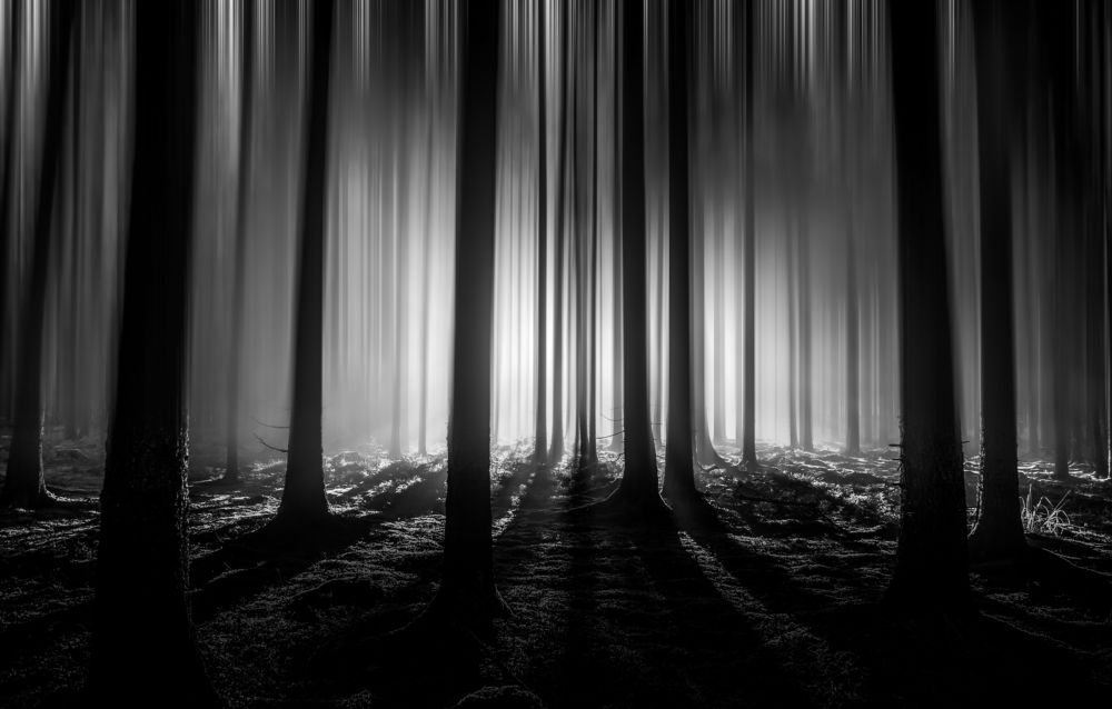 Photograph by Sebastian Bauer