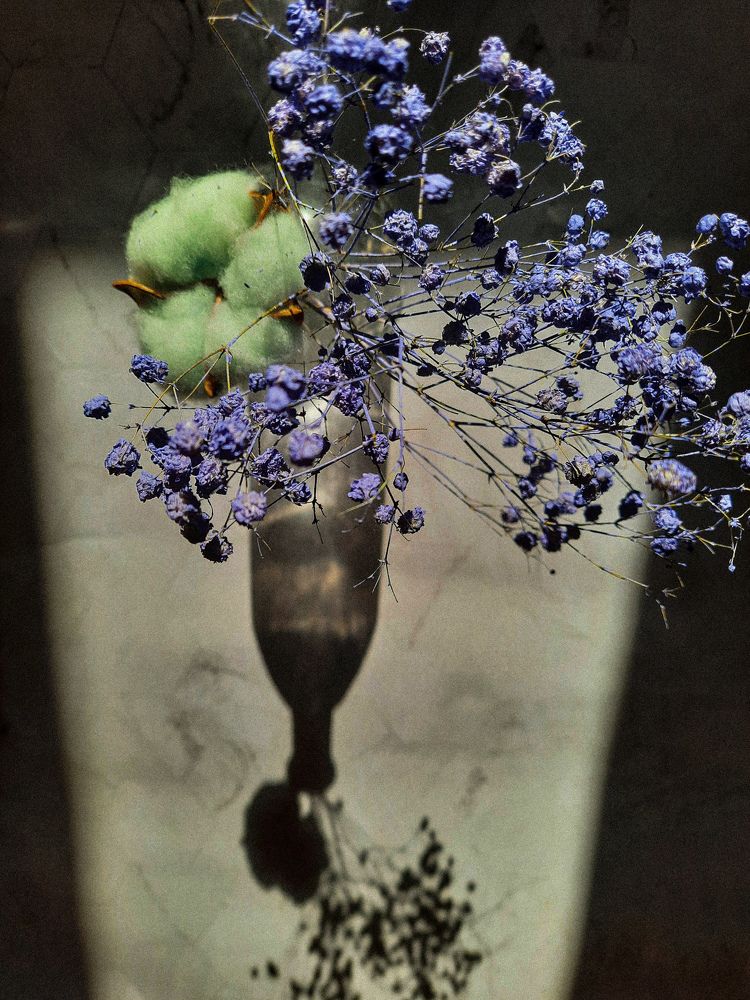 Photograph by Кристина Студеникина