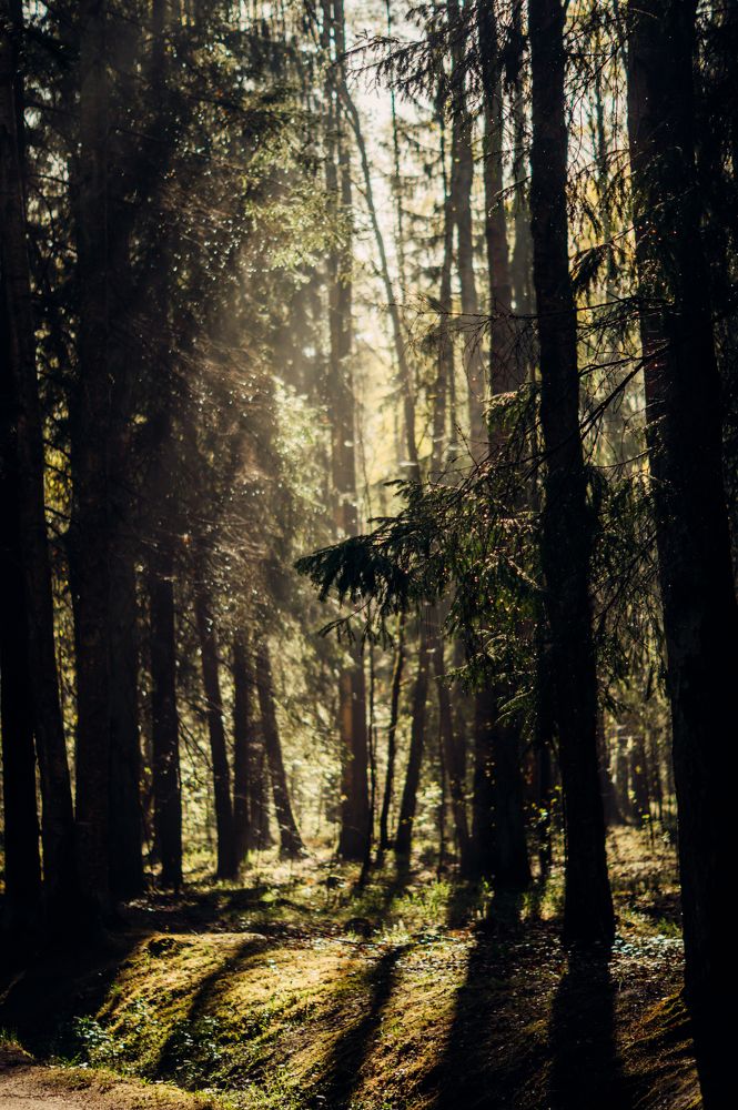 Photograph by Алина