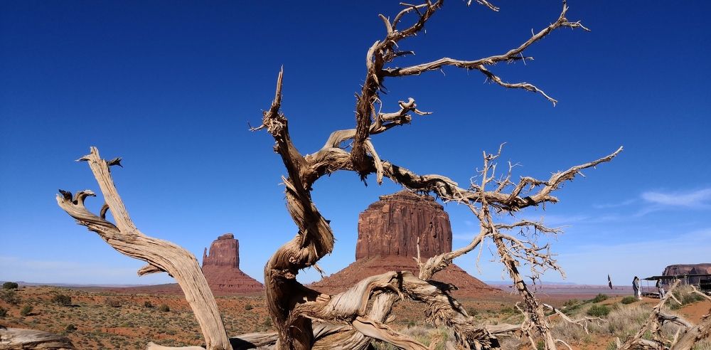 Photograph by Rahil Khan