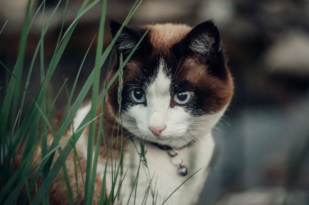 Photograph by Алина