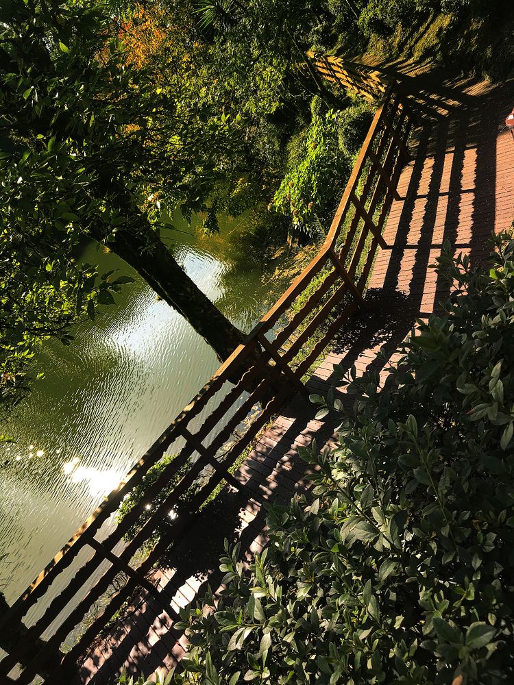 Photograph by Paulo Cesar Soares