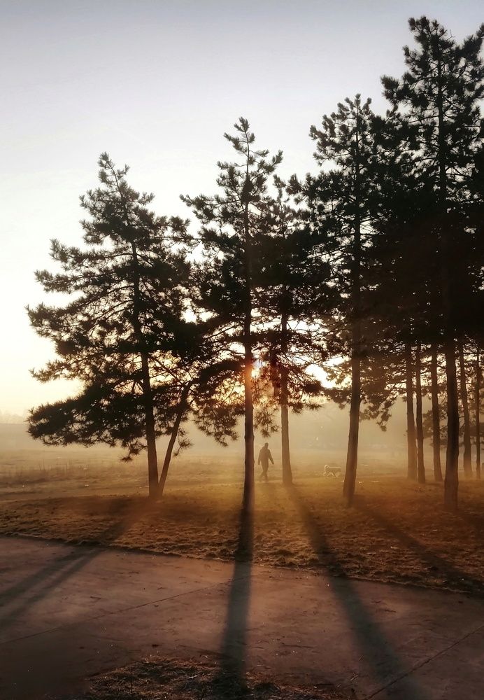 Photograph by Snezana Boskovic