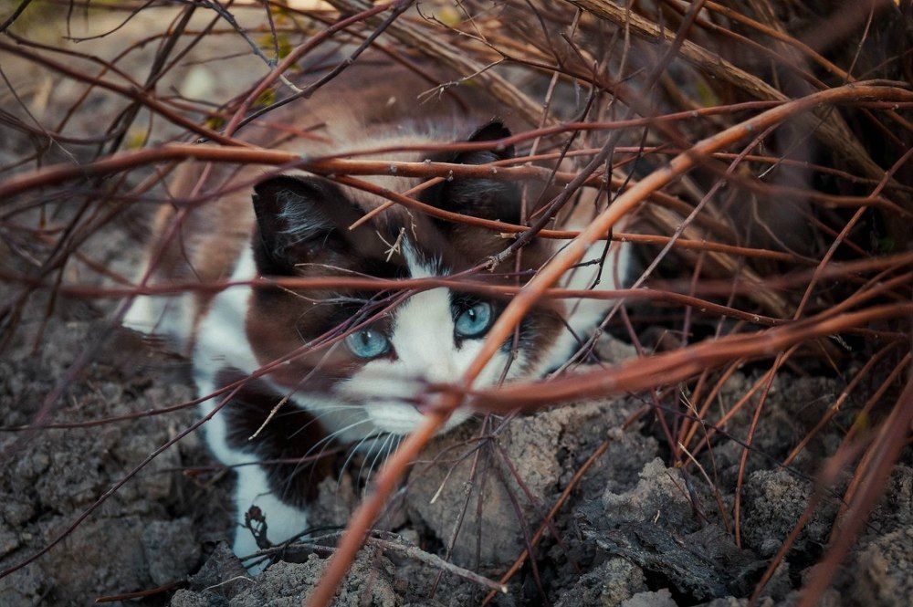 Photograph by Алина