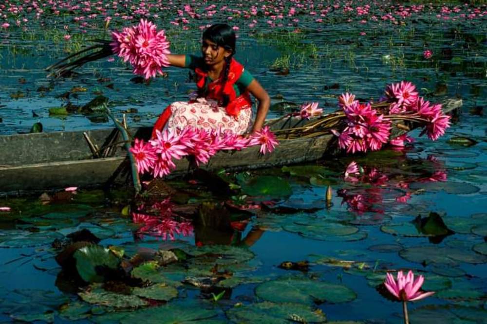 Photograph by Md.Khairul Islam