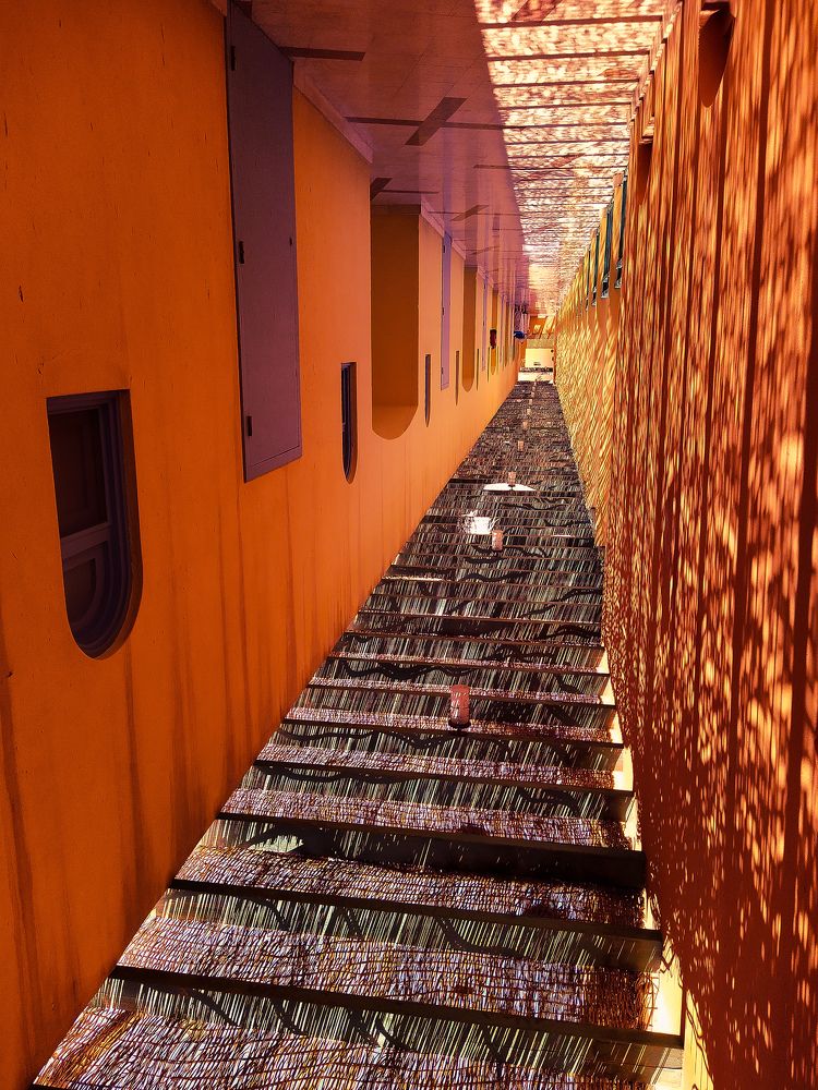 Photograph by nada maged