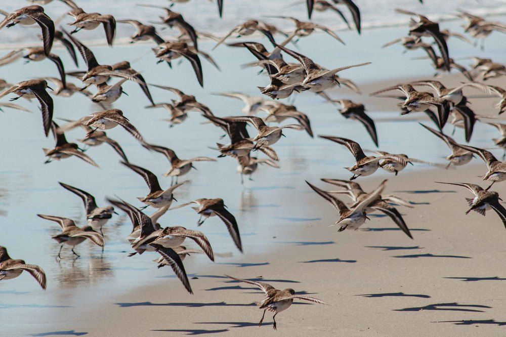 Photograph by Alisa Bryz-Gornia