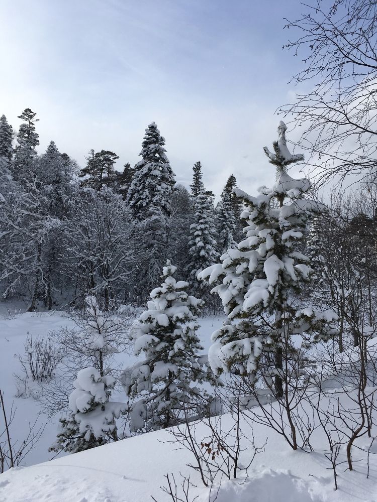 Зимушка-зима