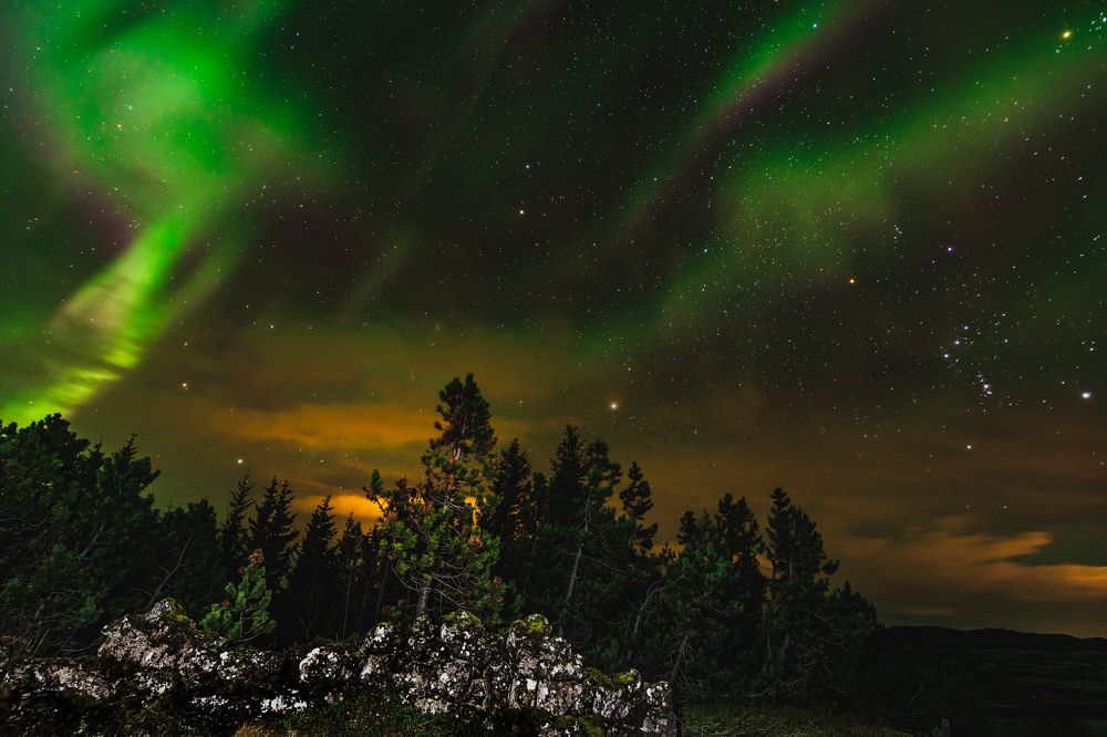 Photograph by Piotr Mickevic