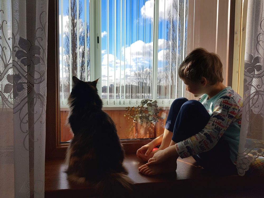 Фотография автора Дана Богинская