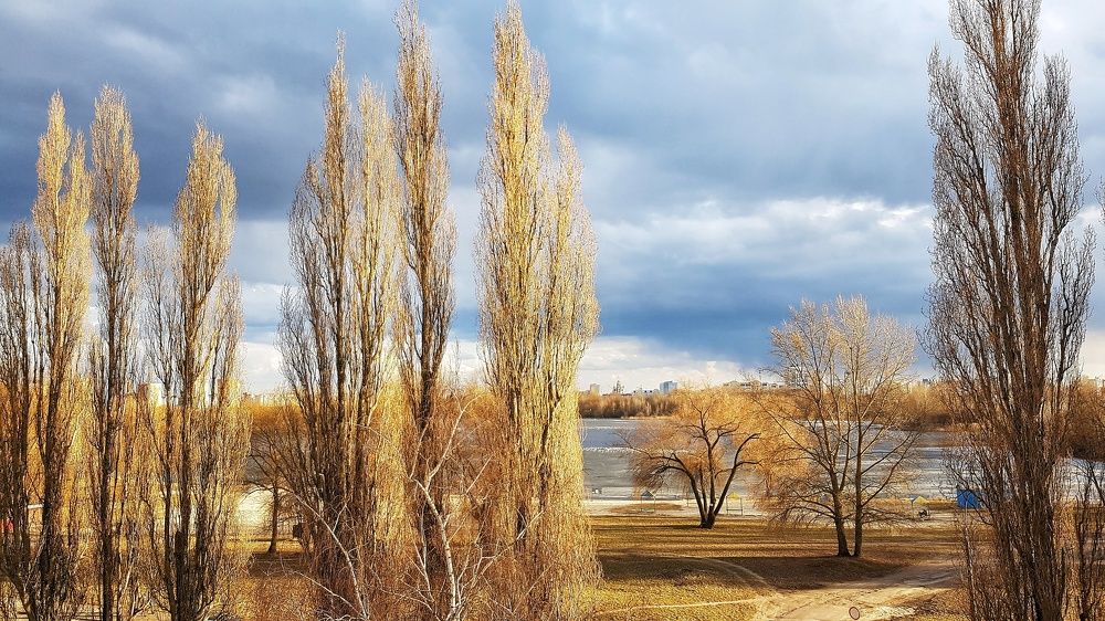 Фотография автора Дана Богинская