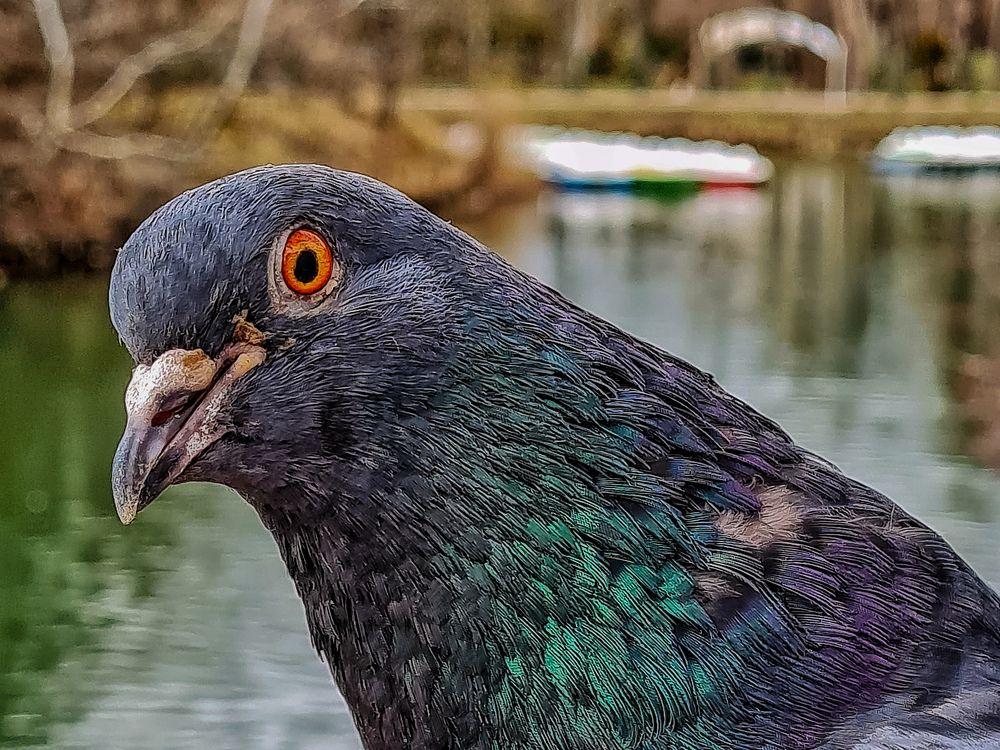 Photograph by Лариса Когтева