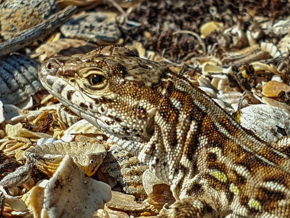 Photograph by Лариса Когтева