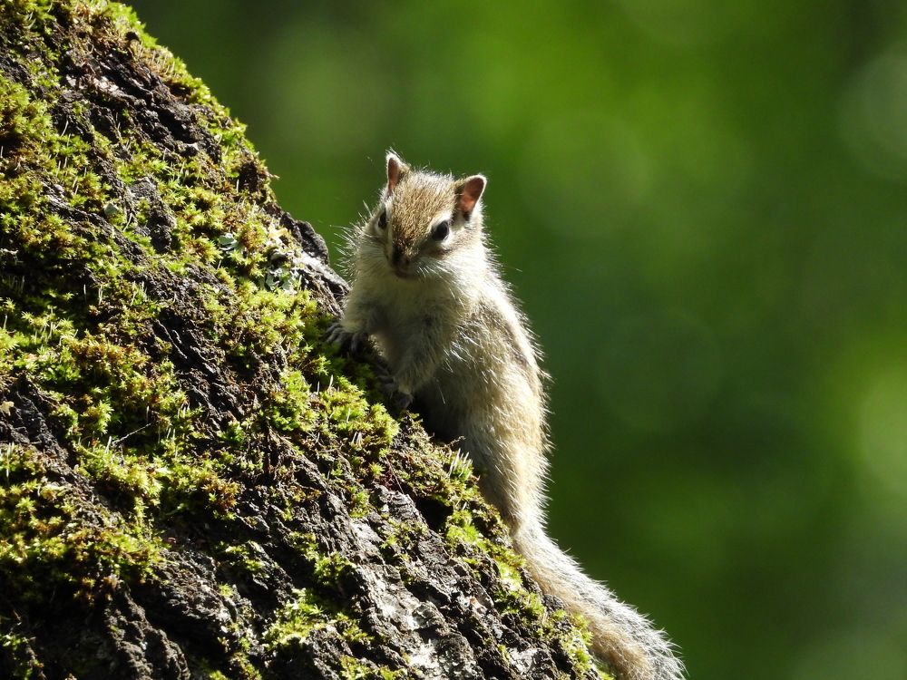 Photograph by Наталья Муравьёва