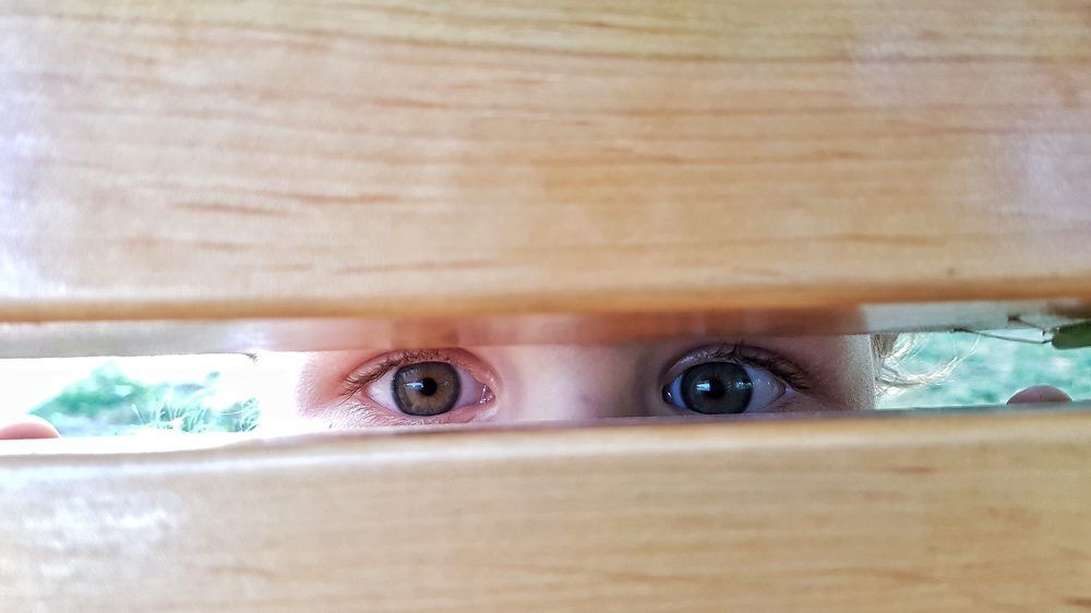 Фотография автора Дана Богинская