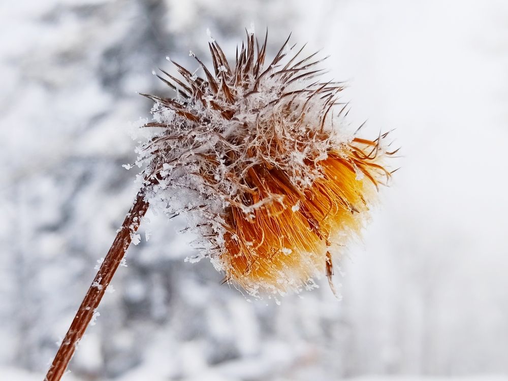 Photograph by Василий