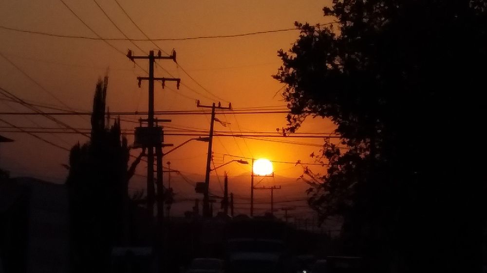 Photo #5968166