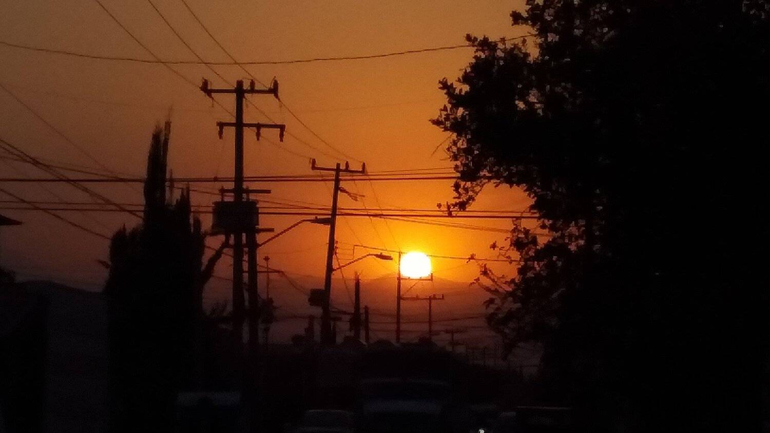 Photo #5968166