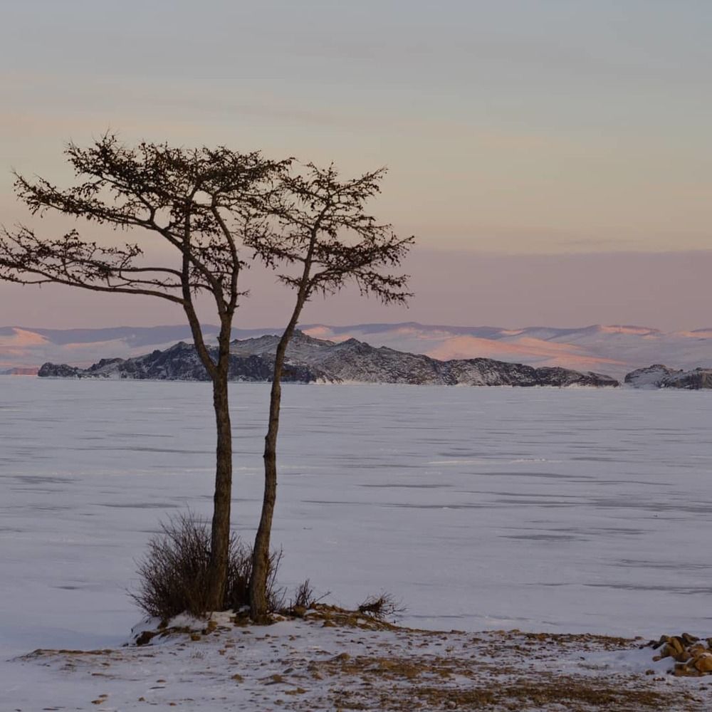 Photograph by Елена Хорохорина