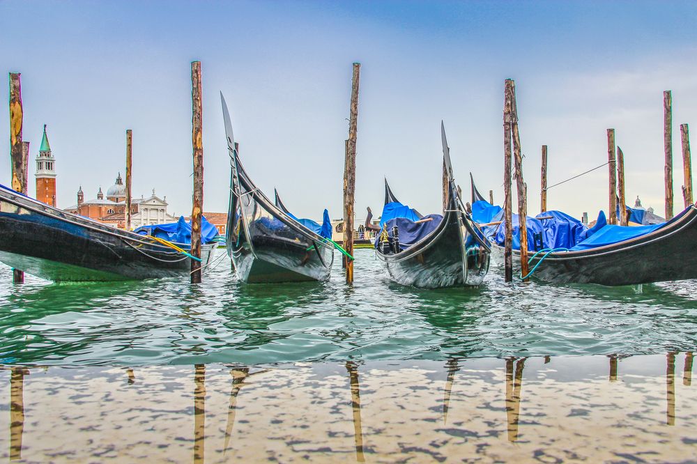 Photograph by Alla Gajeva