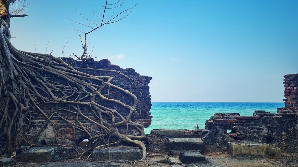 Roots of old Andaman