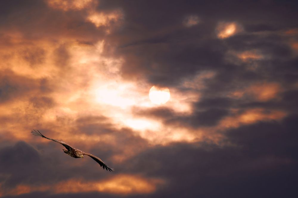 Возвращение