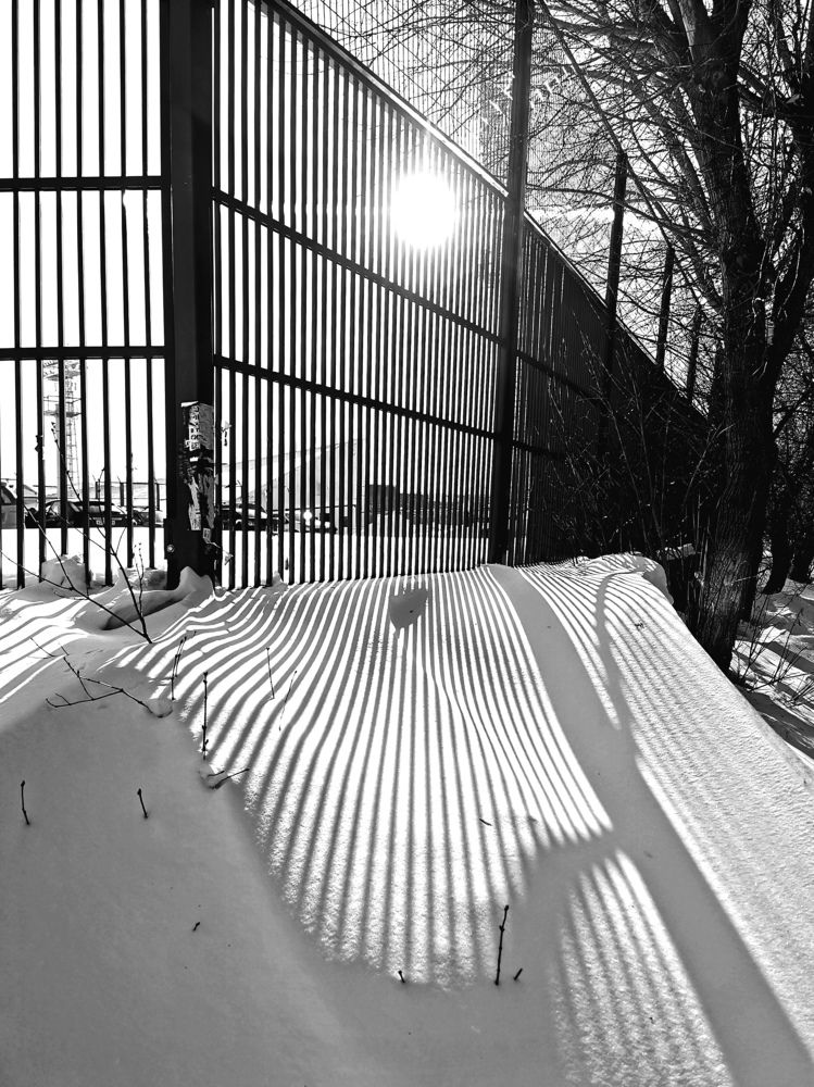 Лунная ночь