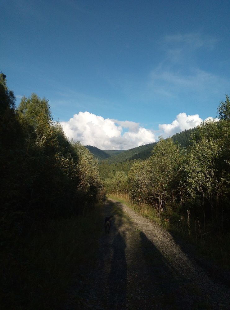 Photograph by Диана Кошелева