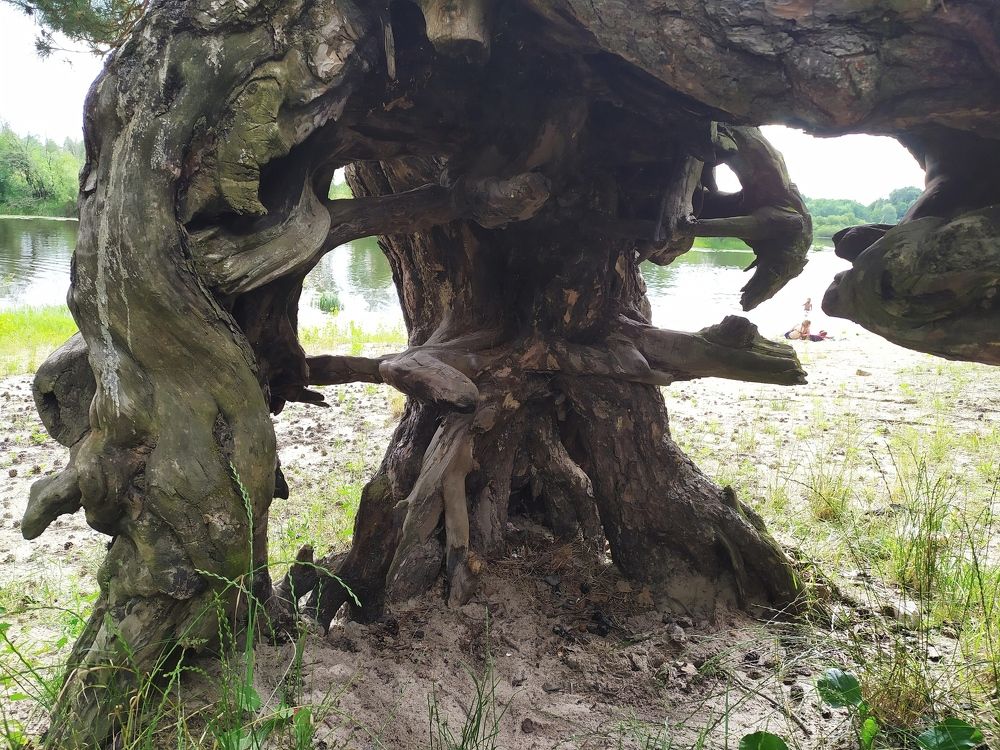 Photograph by Андрей Микулич