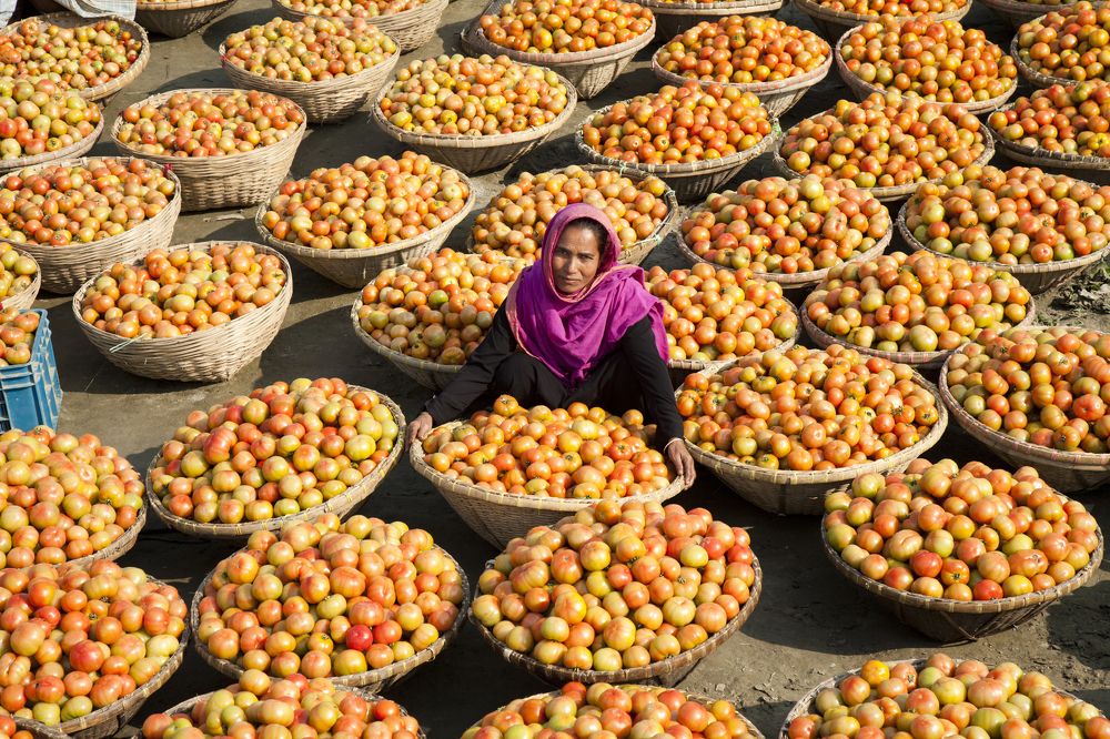 Tomato seller