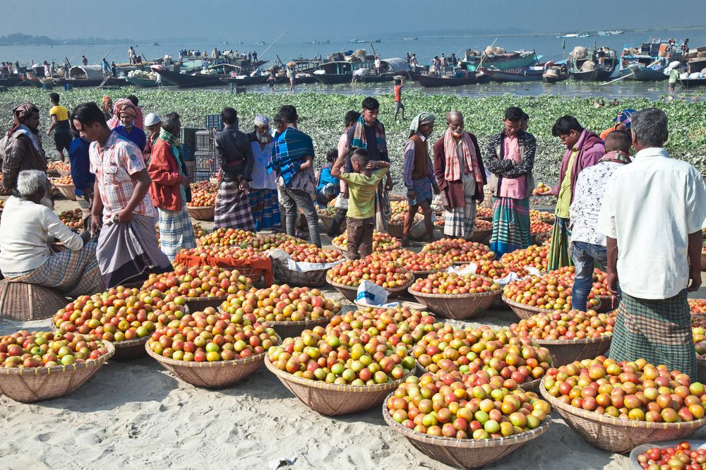 Photograph by Md Shamsul Haque Suza