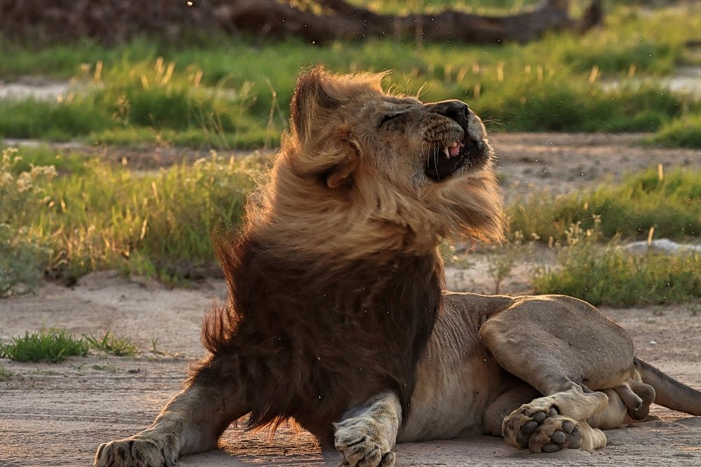 Photograph by Erna Muller