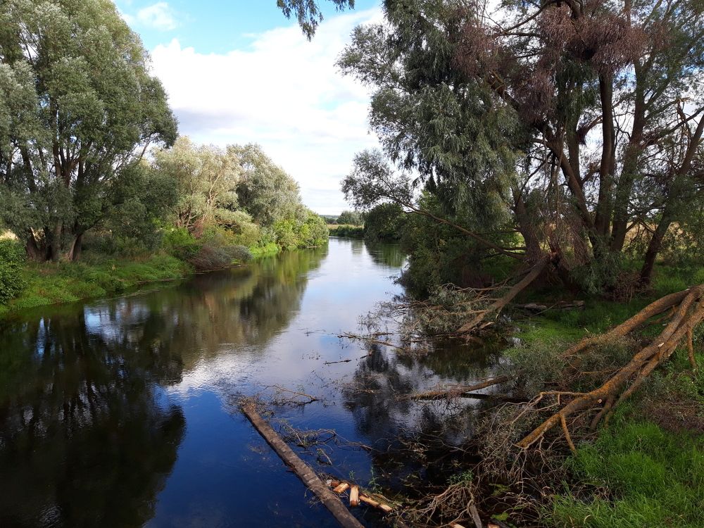 Фотография автора Елена Пикатова