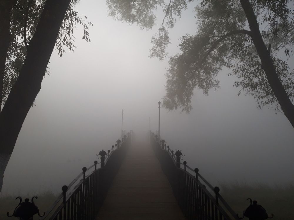 Фотография автора Елена Пикатова