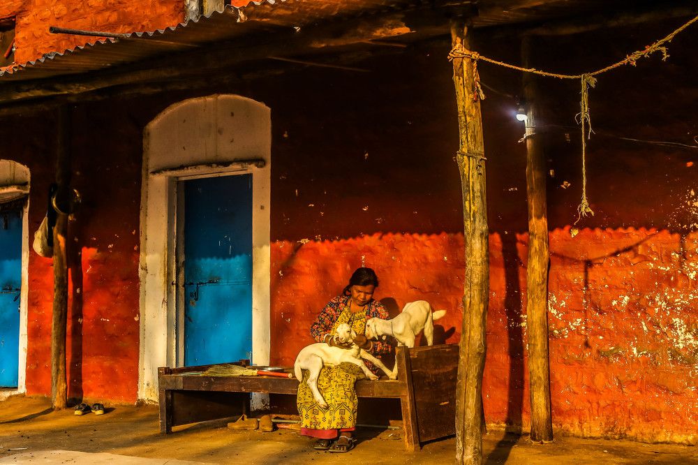 Фотография автора Vijay Richhiya