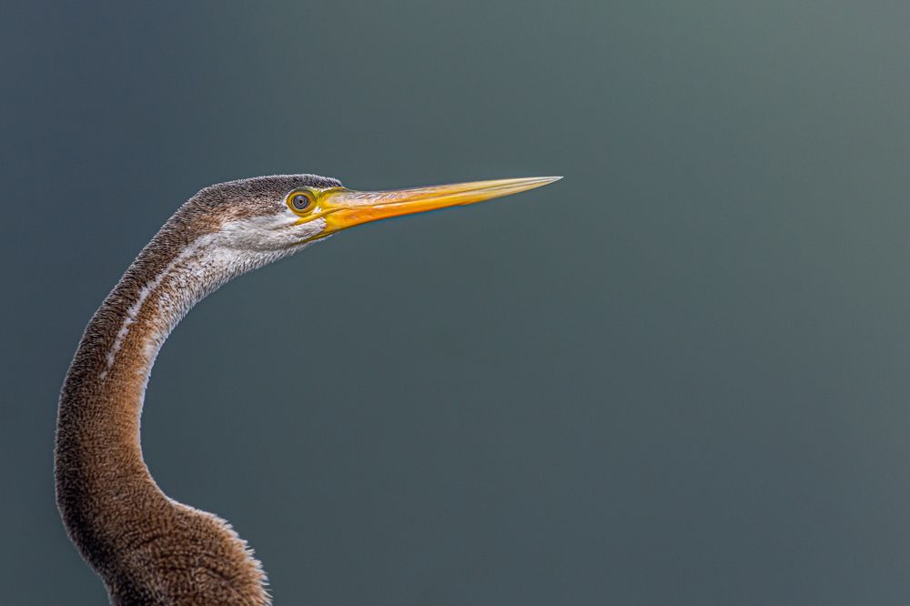 Photograph by Kshitij Patle