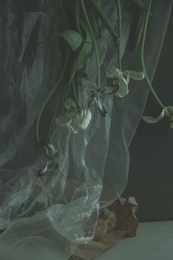 Photograph by Юлия Мельникова