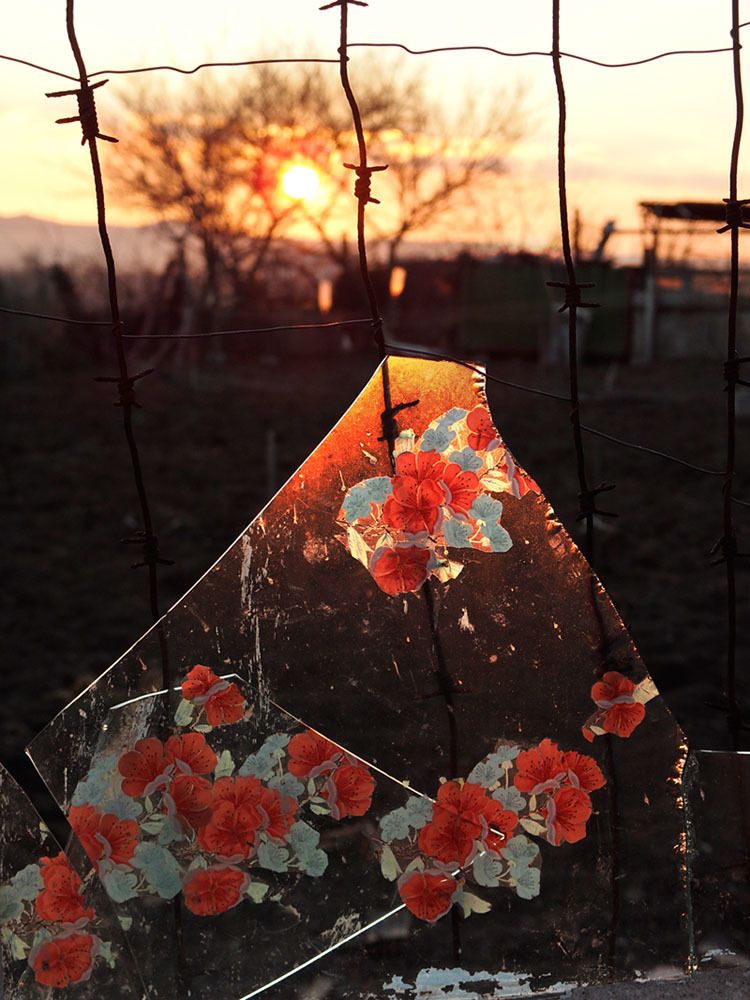 Photograph by Светлана Борозенцева