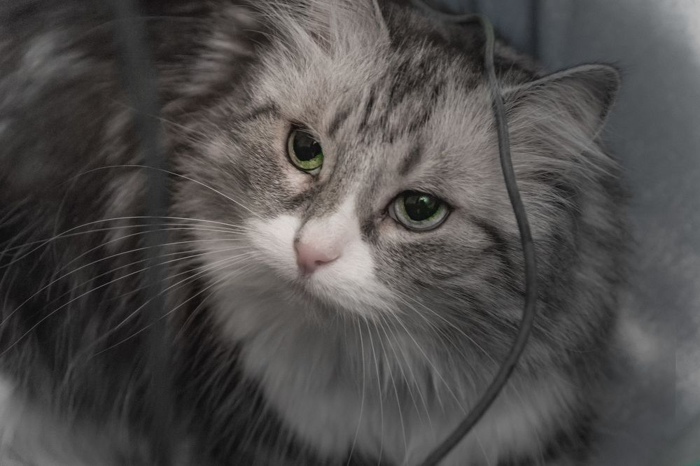 Photograph by Светлана Гонская