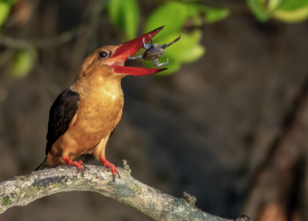 THE GAP BETWEEN THE FOOD AND THE LIP IS CALLED LUCK
