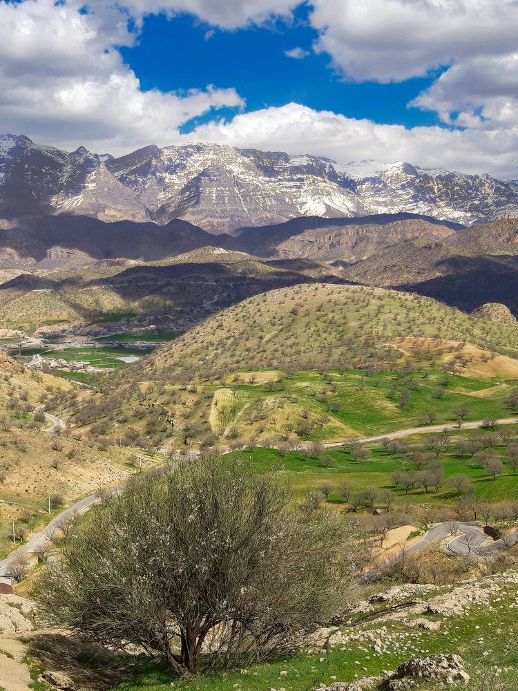 Photograph by Elham Khanpour