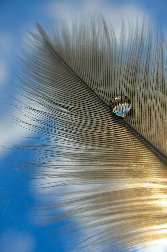 Photograph by Олег Ловцов